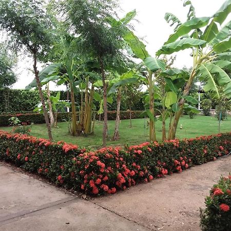 C&H campestre el oasis Bed and Breakfast Ricaurte Eksteriør billede