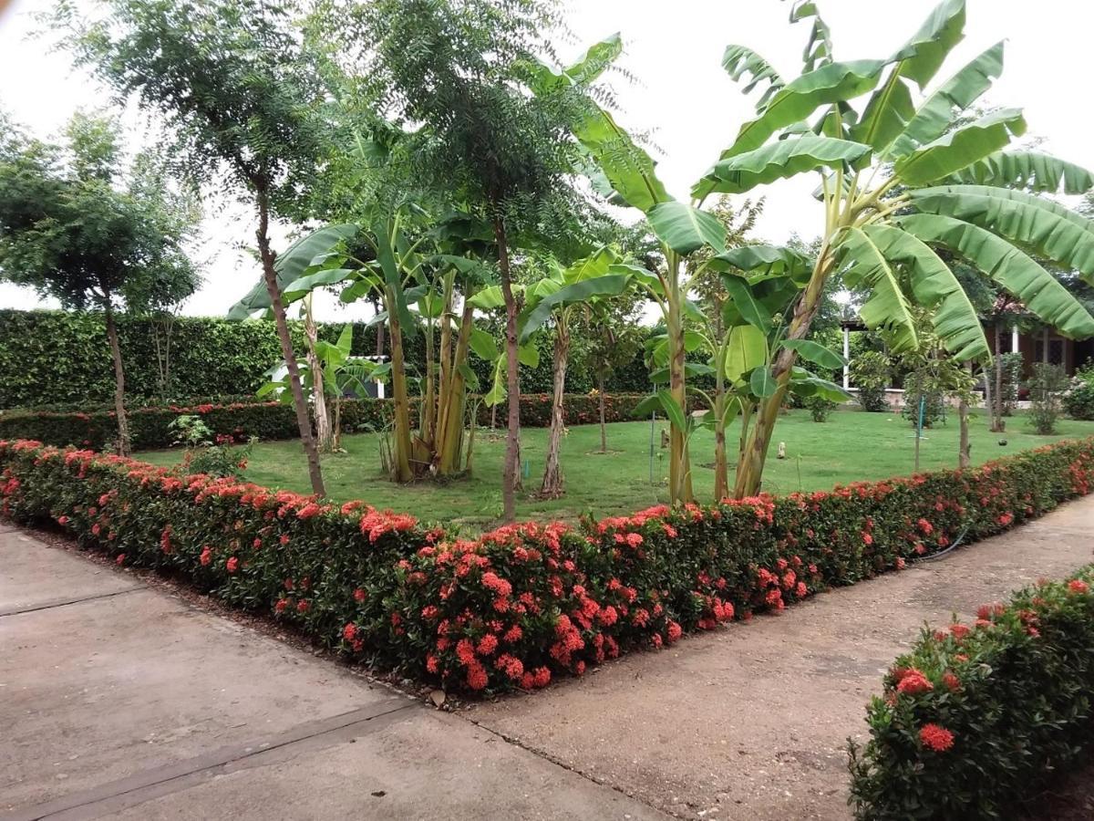 C&H campestre el oasis Bed and Breakfast Ricaurte Eksteriør billede