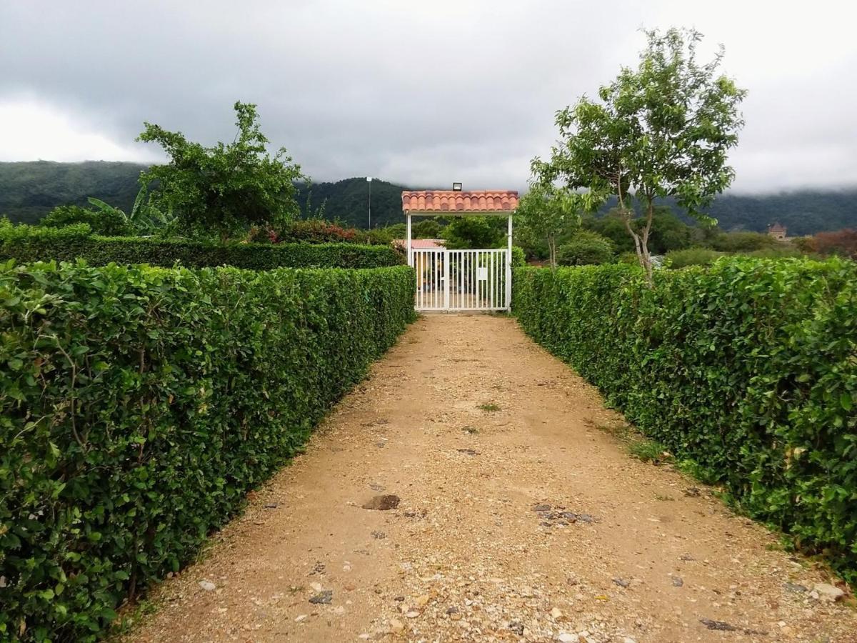 C&H campestre el oasis Bed and Breakfast Ricaurte Eksteriør billede